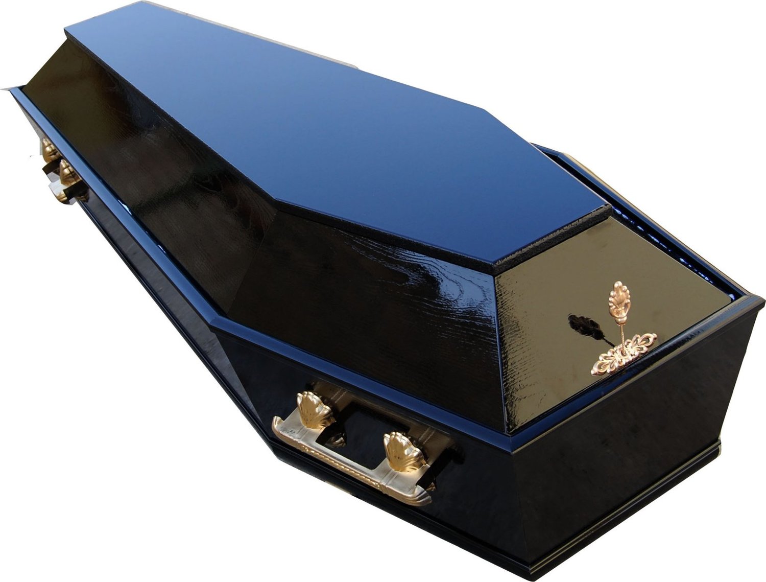 Гробы "Премиум" полированные